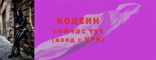 индика Верея