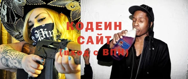 индика Верея