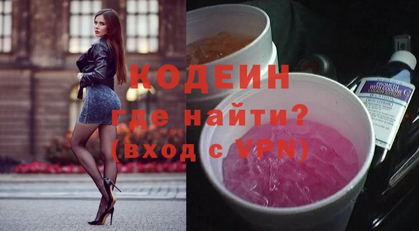 индика Верея