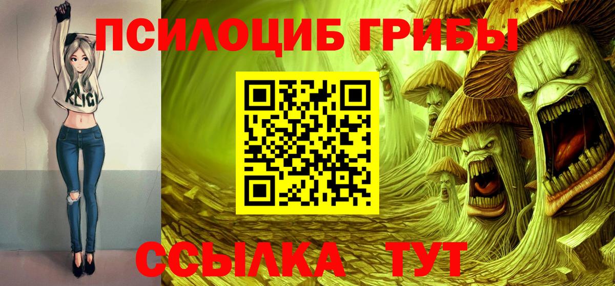 Ноябрьск  Галлюциногенные грибы Psilocybine cubensis  Вход с VPN 