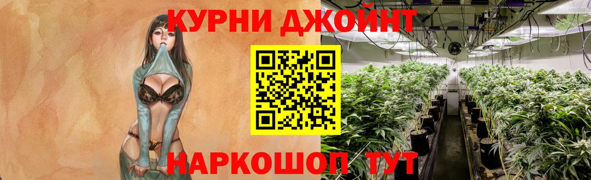 Шишки марихуана White Widow Ноябрьск
